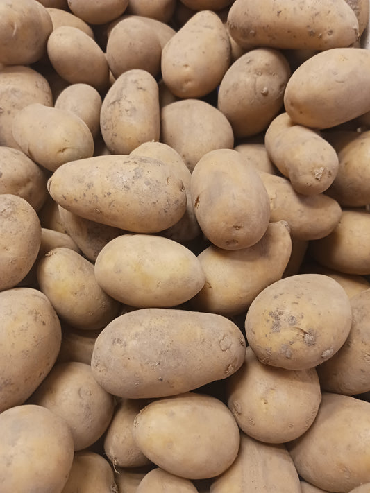 Pommes de terre Allians bio (1 Kg)
